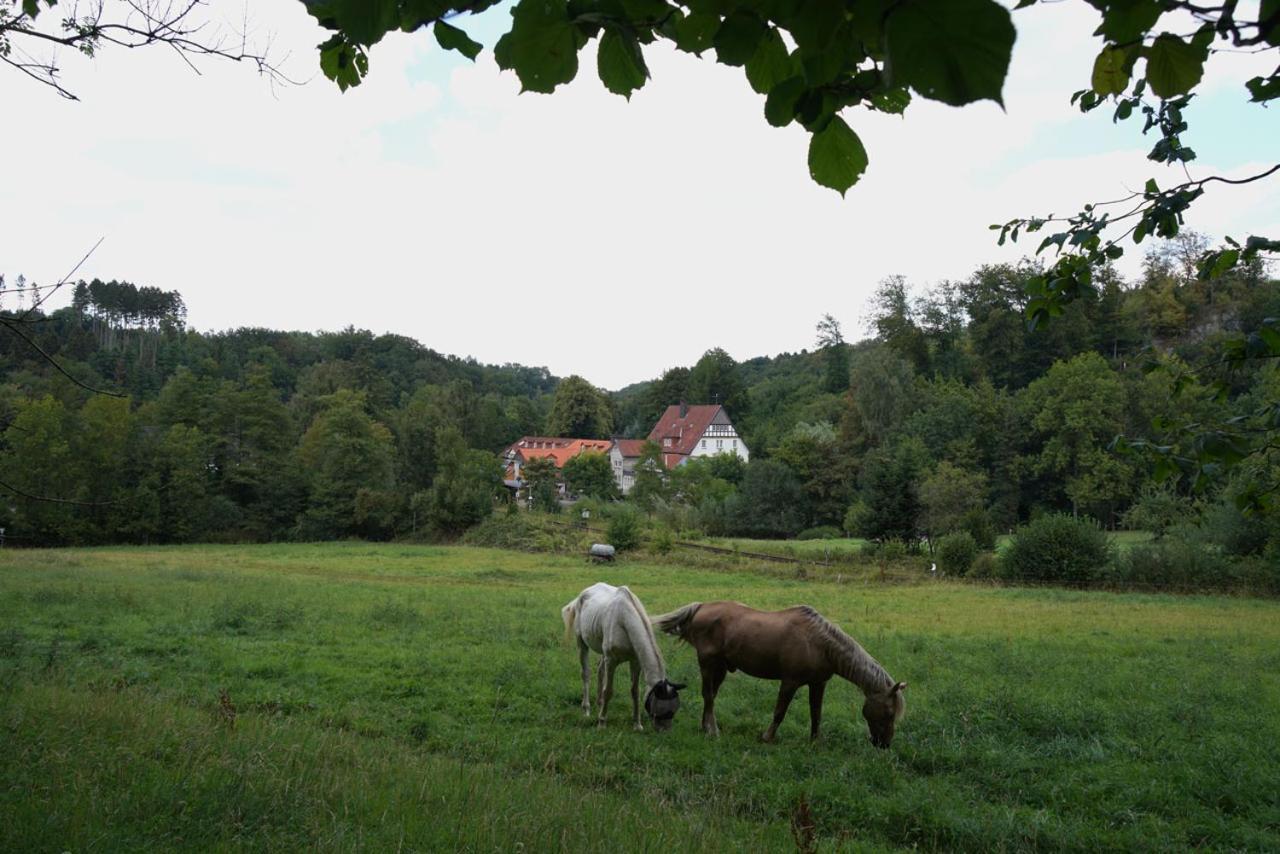 Haus Recke Hotel Balve